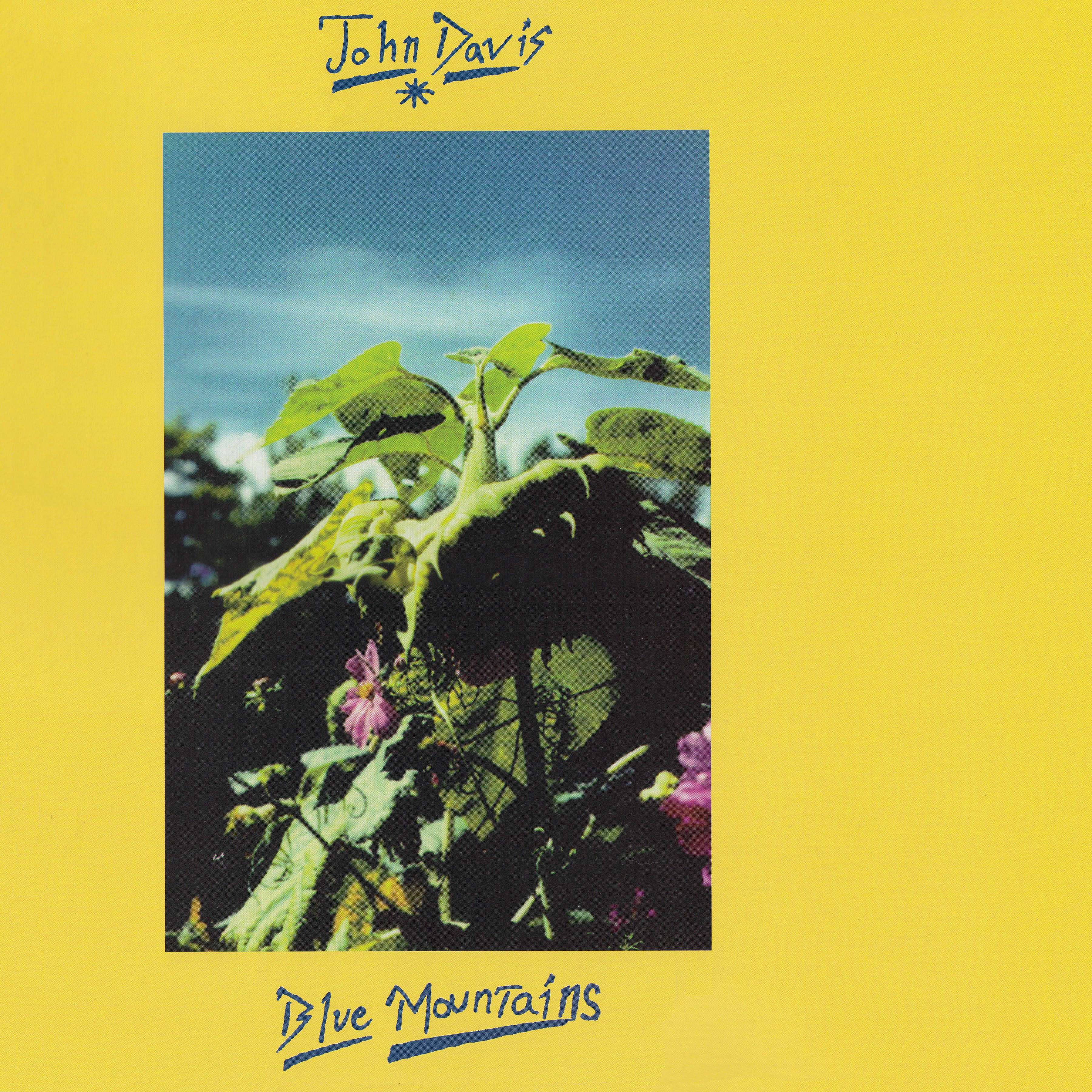 61466043_2298048337102234_6271247719310819328_n